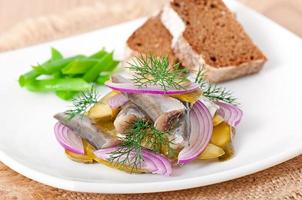 herring salad with pickled cucumbers and onions photo