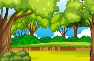 Empty forest environment background vector