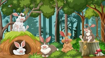 grupo de conejos en la escena del bosque natural vector