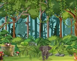 Forest scene with wild animals vector