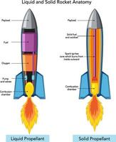 Liquid and solid rocket anatomy vector