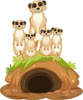 Group of meerkats with burrow in cartoon style vector