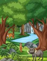 Forest scene with various wild animals vector