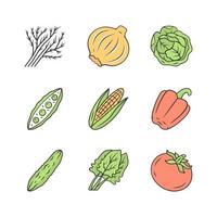 Vegetables color icons set. Cabbage, beet, corn, tomato, pepper. Vitamin and diet. Healthy nutrition. Vegetable farm. Vegetarian food. Agriculture plant. Isolated vector illustrations
