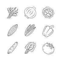 Vegetables linear icons set. Cabbage, beet, corn, tomato, pepper. Vitamin and diet. Healthy nutrition. Thin line contour symbols. Isolated vector outline illustrations. Editable stroke