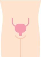 Healthy urinary bladder flat design long shadow color icon. Organ in good health. Functioning urinary system. Internal body part in good shape. Wholesome urinary tract. Vector silhouette illustration