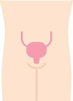 icono de color de sombra larga de diseño plano de vejiga urinaria sana. órgano en buen estado de salud. funcionamiento del sistema urinario. parte interna del cuerpo en buen estado. tracto urinario saludable. ilustración de silueta vectorial vector