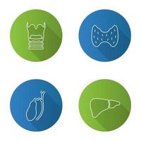 Internal organs flat linear long shadow icons set. Larynx, thyroid, gallbladder, liver. Vector outline illustration