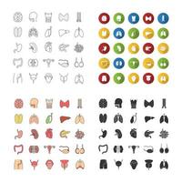 Internal organs icons set. Respiratory, urinary, reproductive, digestive systems. Linear, flat design, color and glyph styles. Isolated vector illustrations