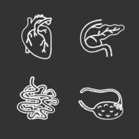 conjunto de iconos de tiza de órganos internos. corazón, páncreas y duodeno, intestino delgado, ovario y trompa de Falopio. Ilustraciones de vector pizarra
