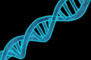 ADN de doble hélice foto