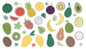 Vector tropical fruit and berries with slices and halves clip art. Jungle foliage illustration. Hand drawn exotic plants isolated on white background. Bright childish healthy summer food illustration