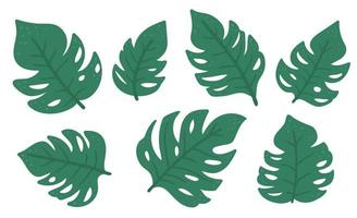 Vector tropical monstera leaves clip art. Jungle foliage illustration. Hand drawn flat exotic plants isolated on white background. Bright childish summer greenery picture.