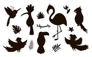 Vector cute exotic birds, leaves, flowers silhouettes isolated on white background. Funny tropical animals and plants illustration. Jungle summer stamp design