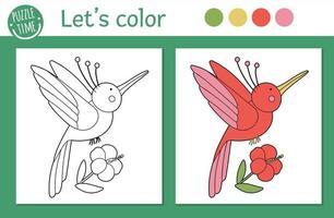 Tropical coloring page for children. Vector humming bird with flower illustration. Cute funny animal character outline. Jungle summer color book for kids with colored version and example