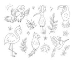 Vector cute exotic birds, leaves, flowers outlines. Funny tropical animals and plants black and white illustration. Jungle summer sketch