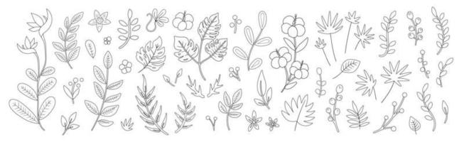 Vector tropical flowers leaves and twigs outlines. Jungle foliage and florals black and white illustration. Hand drawn flat exotic plants sketch. Summer greenery design.