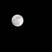 Moon Timelapse, Stock time lapse Full moon rise in dark nature sky, night time. Full moon disk time lapse with moon light up in night dark black sky. High-quality free video footage or timelapse photo