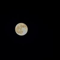 Moon Timelapse, Stock time lapse Full moon rise in dark nature sky, night time. Full moon disk time lapse with moon light up in night dark black sky. High-quality free video footage or timelapse photo