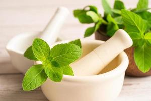 Alternative medicine herbal organic herbs mint leaf natural supplements for healthy good life.