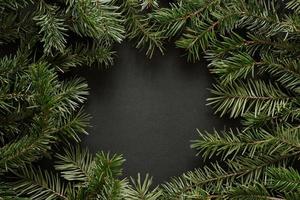 pine fir branch frame on white background photo