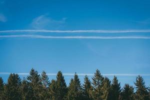 Airplane trails in a blue sky over green pines photo