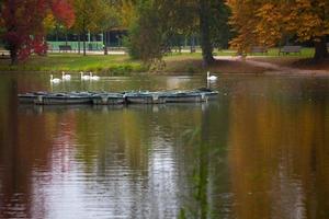 círculo de botes en un lago en un parque en otoño foto
