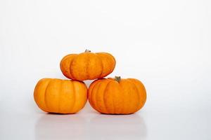 three small pumpkins photo