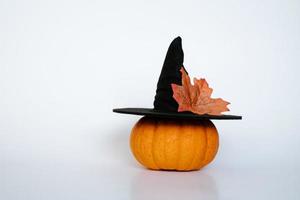 Small pumpkin with witch hat photo