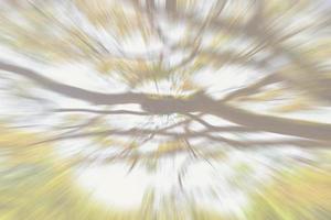 Blurry green trees zoom motion effect backgrounds for design backdrop photo