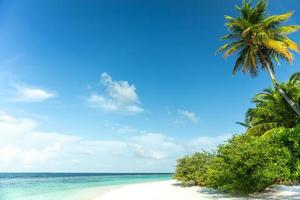 vista maldiva con agua de mar clara de cocotero y cielo azul foto
