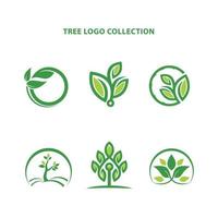 Tree logo collection vector