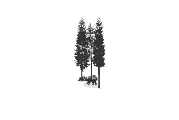 Vintage Retro Pine Spruce Conifer Cedar Cypress Larch Evergreen Fir Trees Forest with Bear for Conservation Logo Design Vector