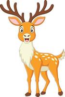 Cartoon deer isolated on white background vector