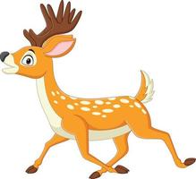 Cartoon deer walking on white background vector