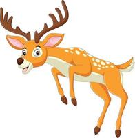 Cartoon funny deer posing on white background vector