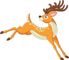 Cartoon funny deer jumping on white background vector