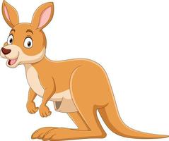 Cartoon cute kangaroo on white background vector