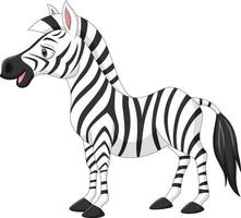 Cute baby zebra isolated on white background vector