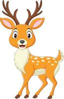 Cartoon deer isolated on white background vector