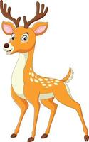 Cartoon funny deer on white background vector