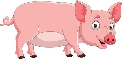 Cartoon funny pig on white background vector
