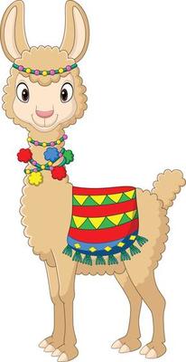 Cartoon funny llama on white background