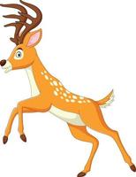 Cartoon funny deer posing on white background vector