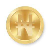 Gold of Naira coin Concept of internet web currency vector