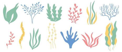 Algae set. Hand drawn collection of colored algae. Sea plants.Vector illustration. vector