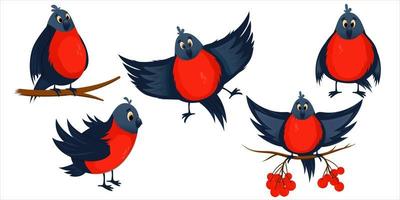 camachuelo rojo conjunto pájaro de dibujos animados aislado. bayas de serbal y ramas de árboles con pájaros. camachuelos de invierno brillante en vuelo y sentado. personaje de pájaro de invierno. ilustración vectorial de dibujos animados vector