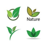 Green leaf logo vector