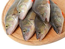 Raw fish on a cutting board isolated on white background photo