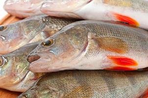 Raw fish on a cutting board isolated on white background photo